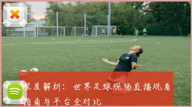 深度解析：世界足球现场直播观看指南与平台全对比